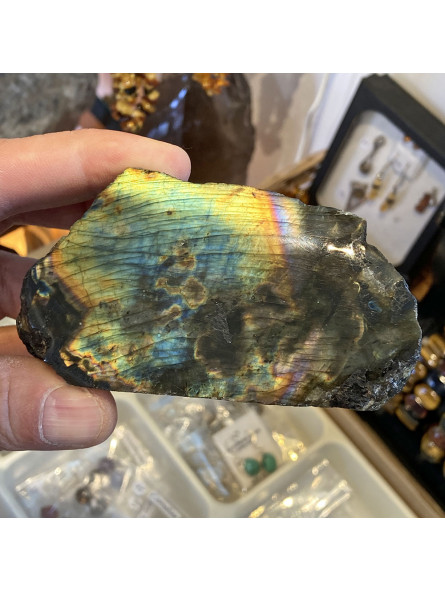 Forme libre en Labradorite Spectrolite - 295 Grammes