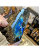 Forme libre en Labradorite Spectrolite - 295 Grammes