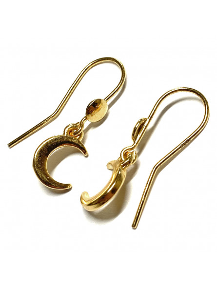Boucles d'Oreilles Motif Lune Argent et Doré Or Fin