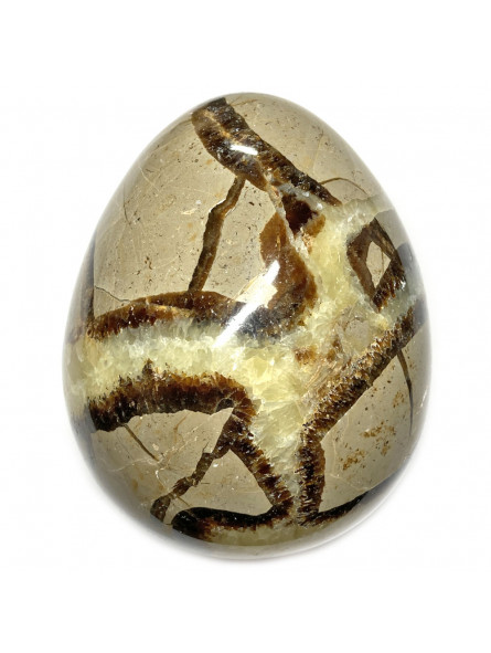 Oeuf en Septaria - 458 Grammes
