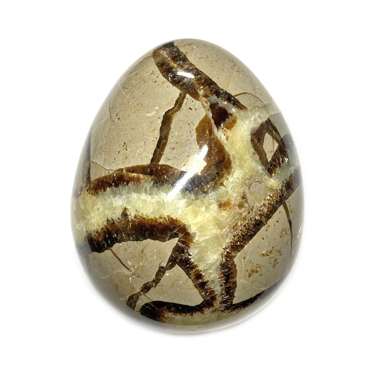 Oeuf en Septaria - 458 Grammes