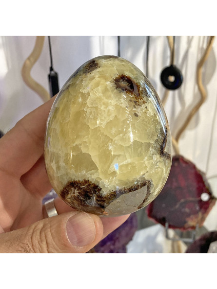 Oeuf en Septaria - 458 Grammes