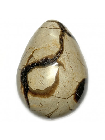 Oeuf en Septaria - 410 Grammes