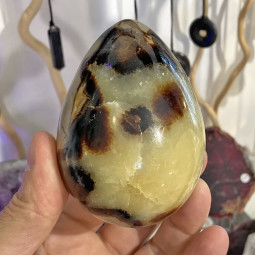 Oeuf en Septaria - 410 Grammes