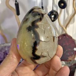 Oeuf en Septaria - 410 Grammes