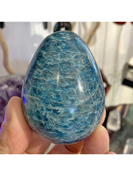 Oeuf en Apatite Bleue - 274 Grammes