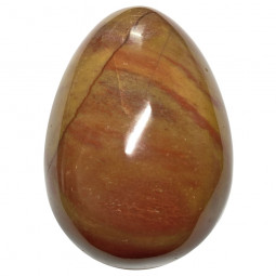 Oeuf en Bois Fossile