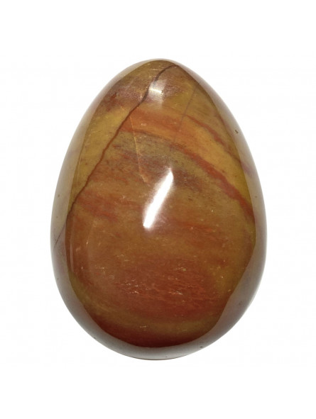 Oeuf en Bois Fossile