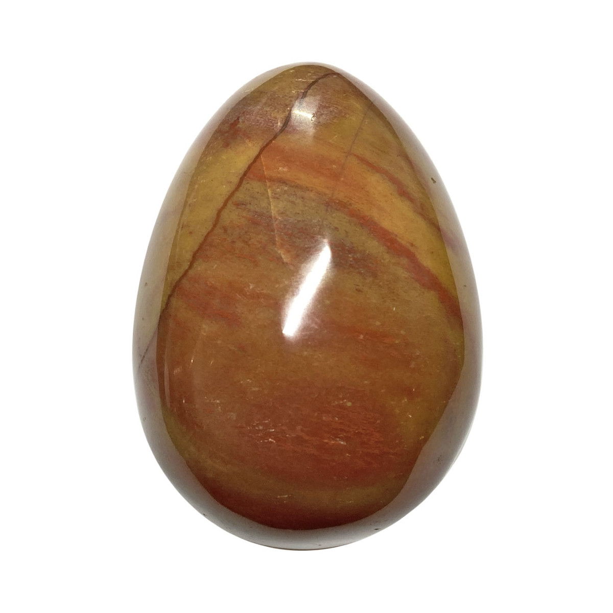 Oeuf en Bois Fossile
