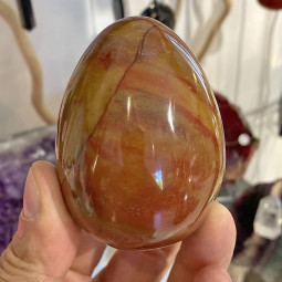 Oeuf en Bois Fossile