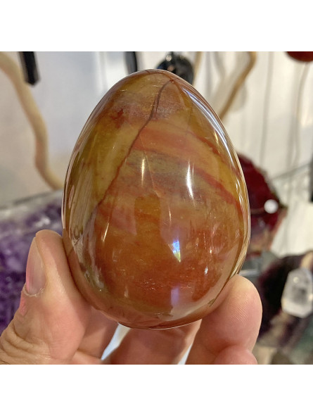 Oeuf en Bois Fossile