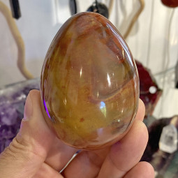 Oeuf en Bois Fossile