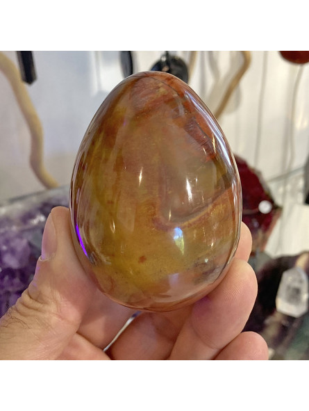 Oeuf en Bois Fossile