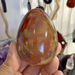 Oeuf en Bois Fossile