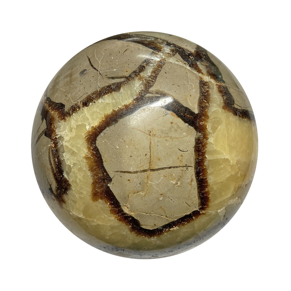 Sphère en Septaria - 78mm