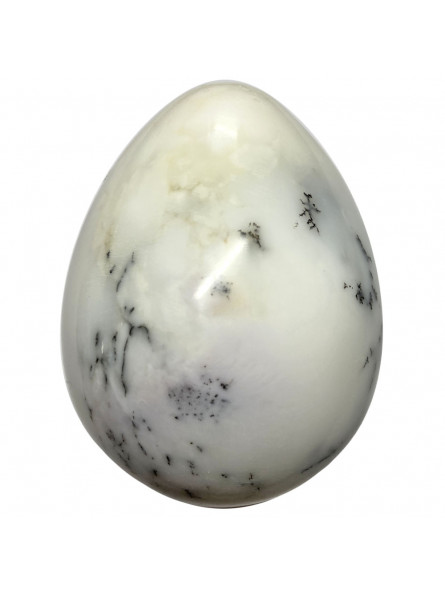 Oeuf en Agate Dendrite - 287 Grammes