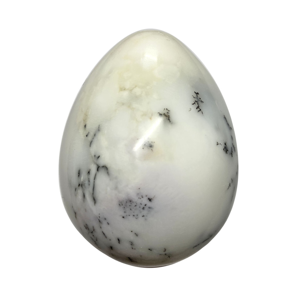 Oeuf en Agate Dendrite - 287 Grammes