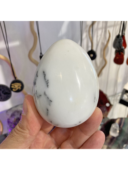 Oeuf en Agate Dendrite - 287 Grammes