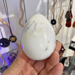 Oeuf en Agate Dendrite - 287 Grammes