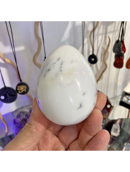 Oeuf en Agate Dendrite - 287 Grammes