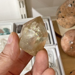 Pointe de Citrine Naturelle Brute - 75 Grammes