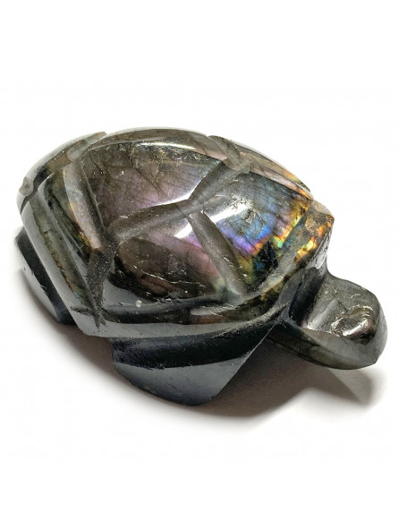 Tortue en Labradorite - 54mm