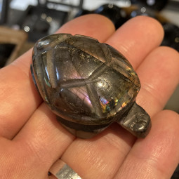Tortue en Labradorite - 54mm