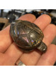 Tortue en Labradorite - 54mm