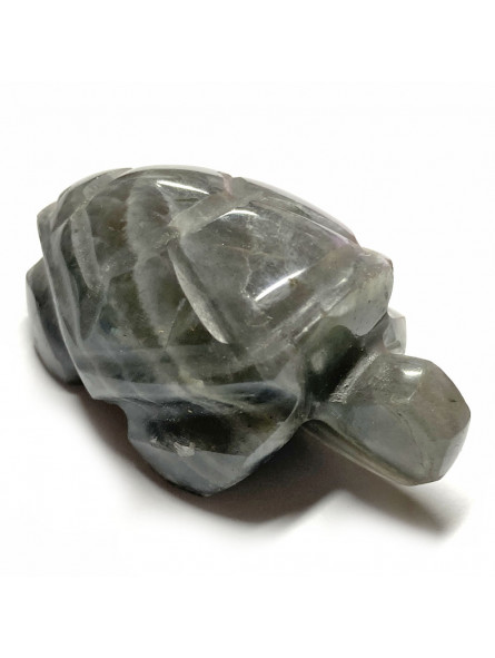 Tortue en Labradorite - 50mm