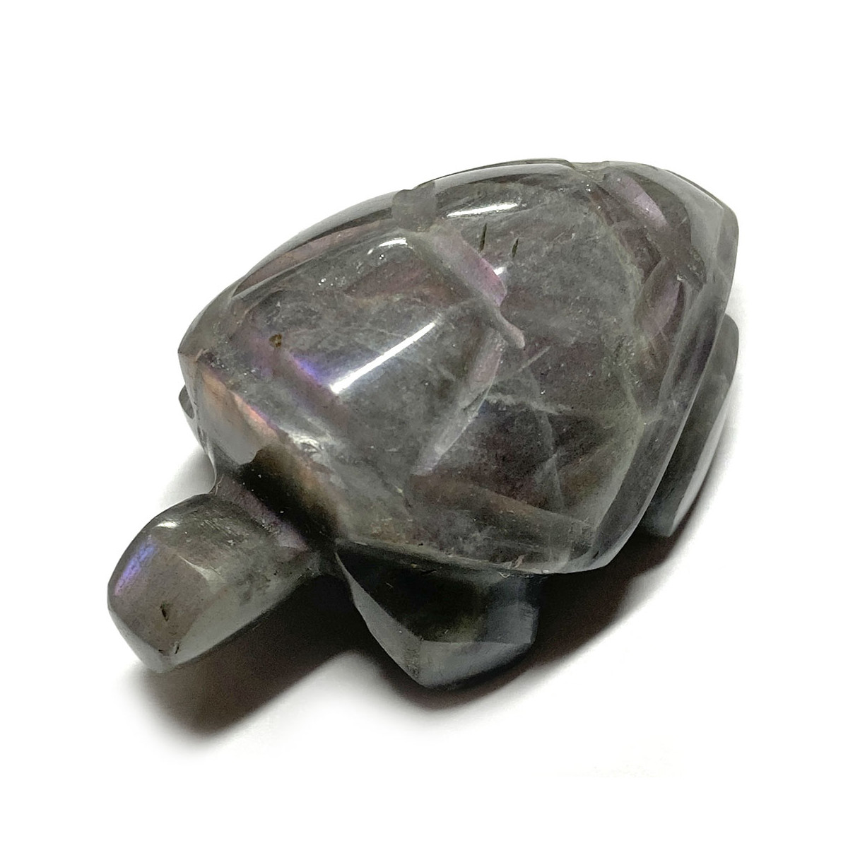 Tortue en Labradorite - 50mm