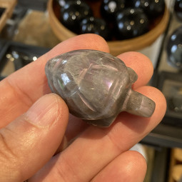 Tortue en Labradorite - 50mm