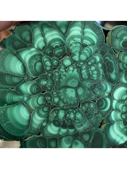 Tranche de Malachite de 9cm