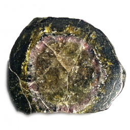 Tranche de Tourmaline Melon d’Eau (Elbaïte)