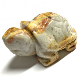 Tortue en Agate Crazy Lace