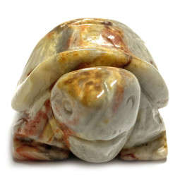 Tortue en Agate Crazy Lace