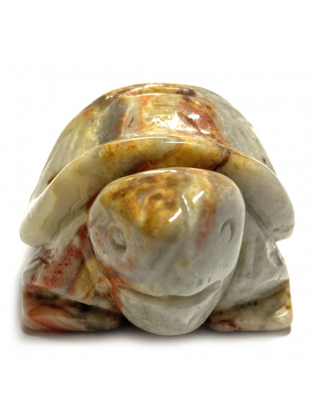 Tortue en Agate Crazy Lace