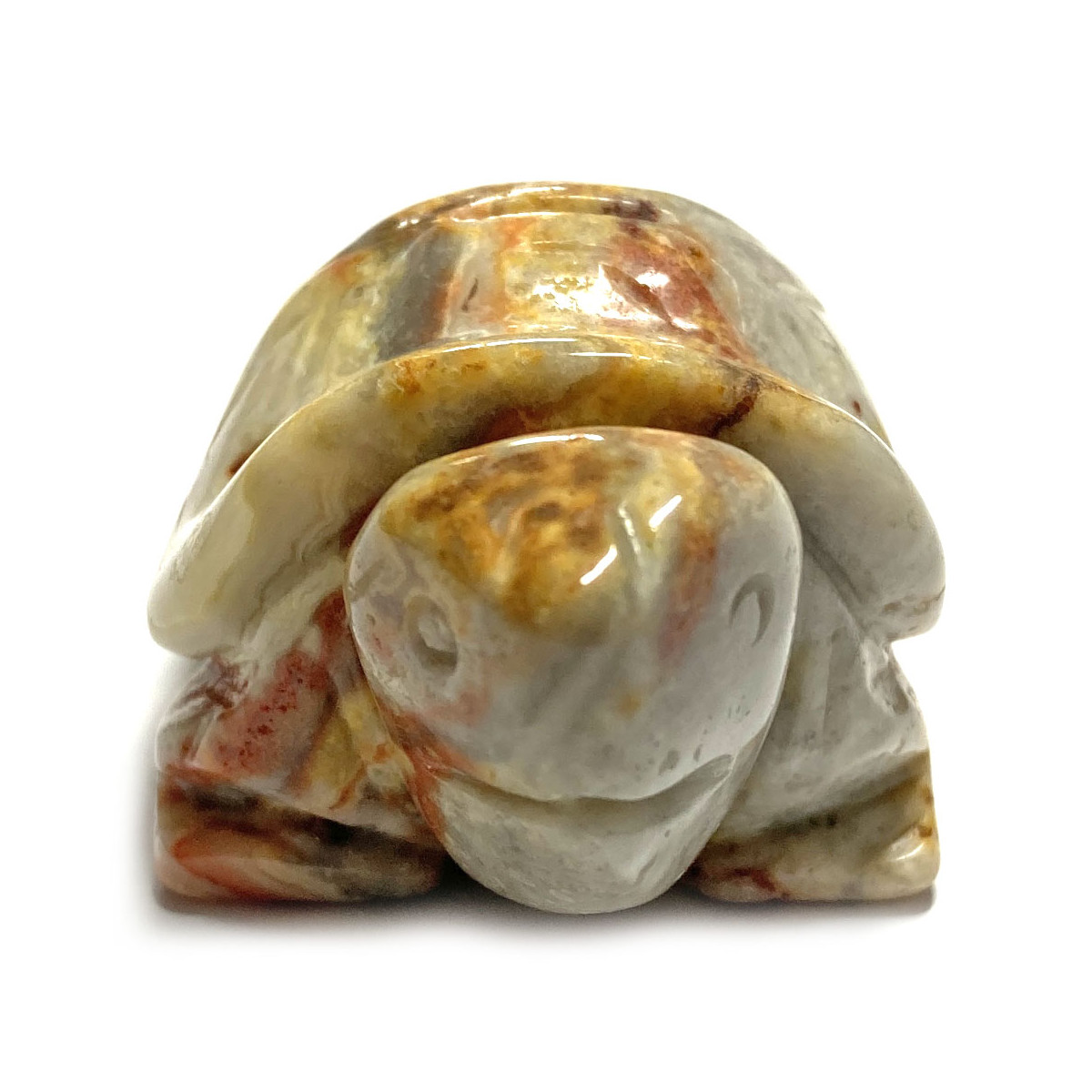 Tortue en Agate Crazy Lace