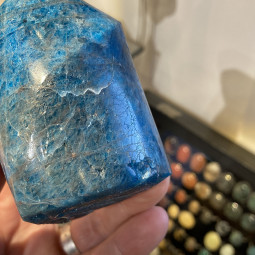 Forme libre en Apatite Bleue - 563 Grammes