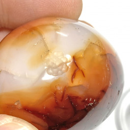 Oeuf en Cornaline - 88 grammes