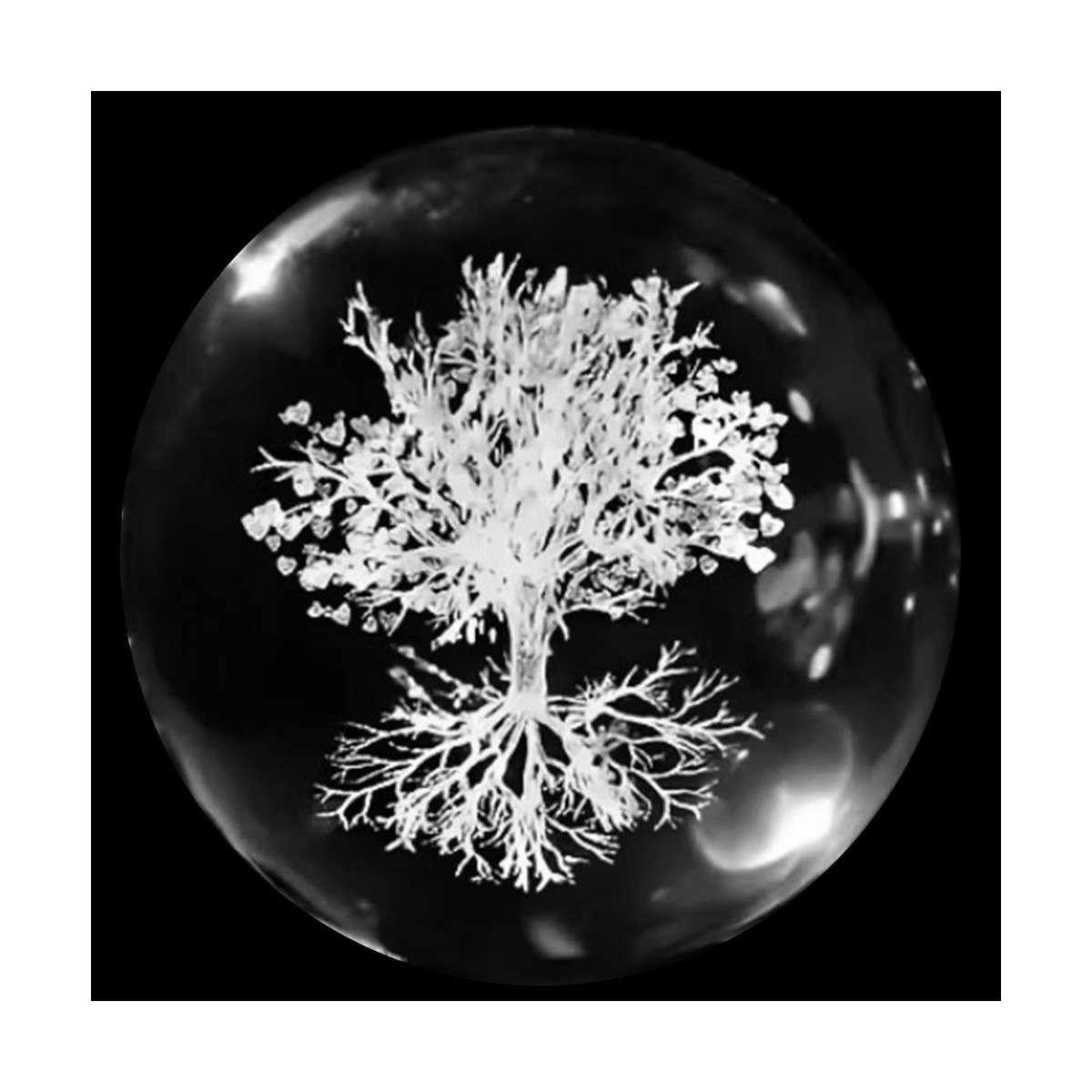 Boule de Cristal Arbre de Vie