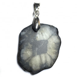 Pendentif en Chiastolite Naturelle