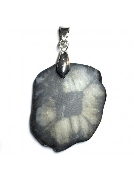Pendentif en Chiastolite Naturelle