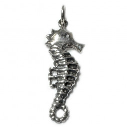Pendentif Hippocampe en Argent