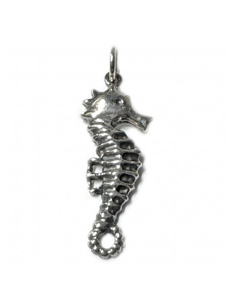 Pendentif Hippocampe en Argent