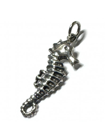 Pendentif Hippocampe en Argent