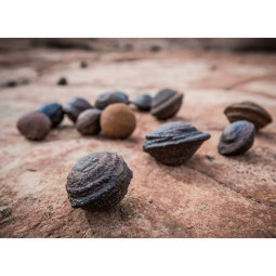 Paire de Moquis - 222 grammes