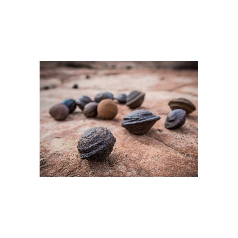 Paire de Moquis - 185 grammes