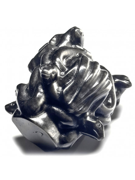 Tête de Médusa en Obsidienne Argentée