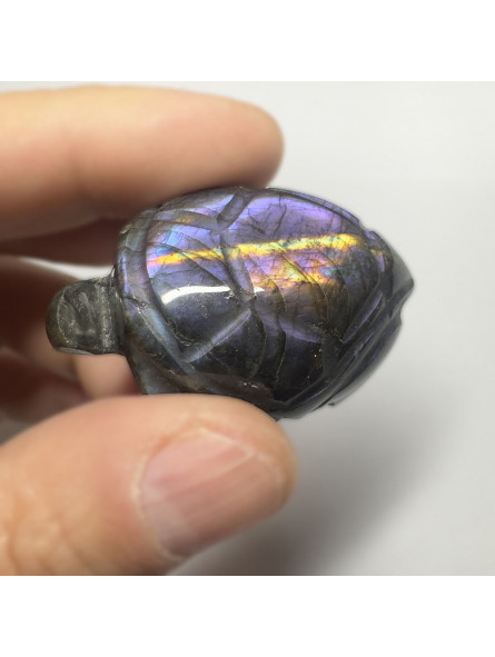 Tortue en Labradorite - 50mm