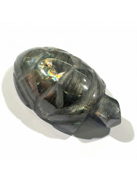 Tortue en Labradorite - 58mm